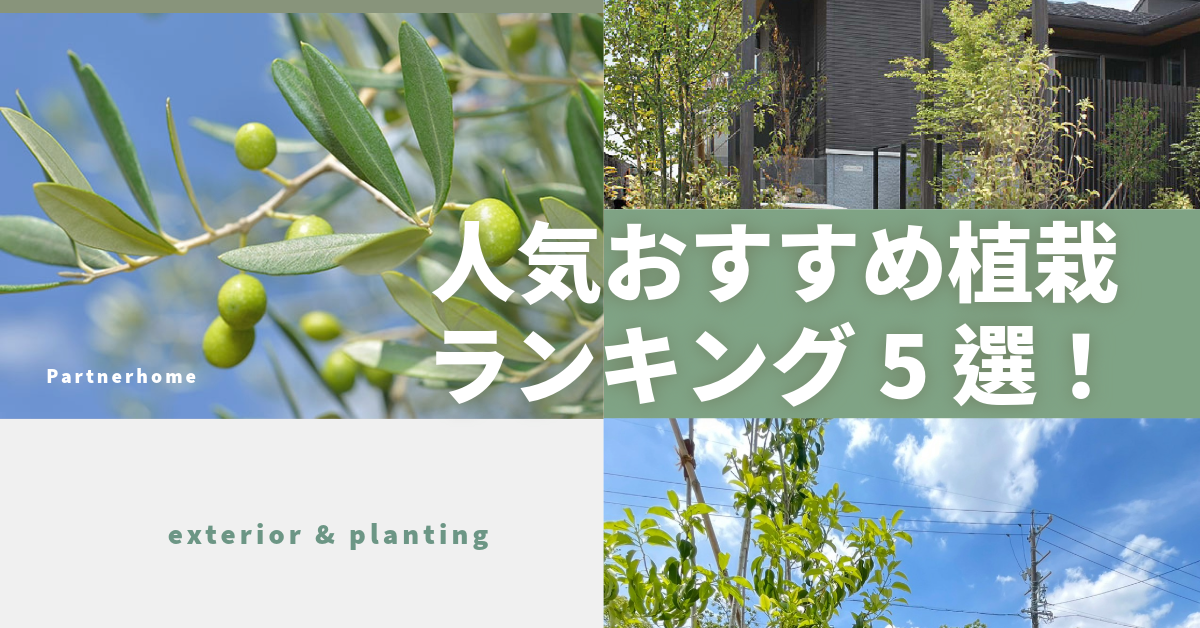 愛知・名古屋の外構ランキング！「おしゃれな外構を彩るおすすめの人気植栽ランキング5選！」おしゃれな外構デザインの中でも欠かせないアイテム「植栽」の中から特に愛知・名古屋の施工事例で最も多い人気の植栽をランキング形式でご紹介いたします。門まわりやお庭の彩り、シンボルツリーや目隠しとしても役立つ植栽は四季と共に表情を変え、皆様の住宅、外構、暮らしを豊かにします◎是非今後ご計画される新築やリフォーム外構工事にお役立てくださいませ♪|パートナーホーム